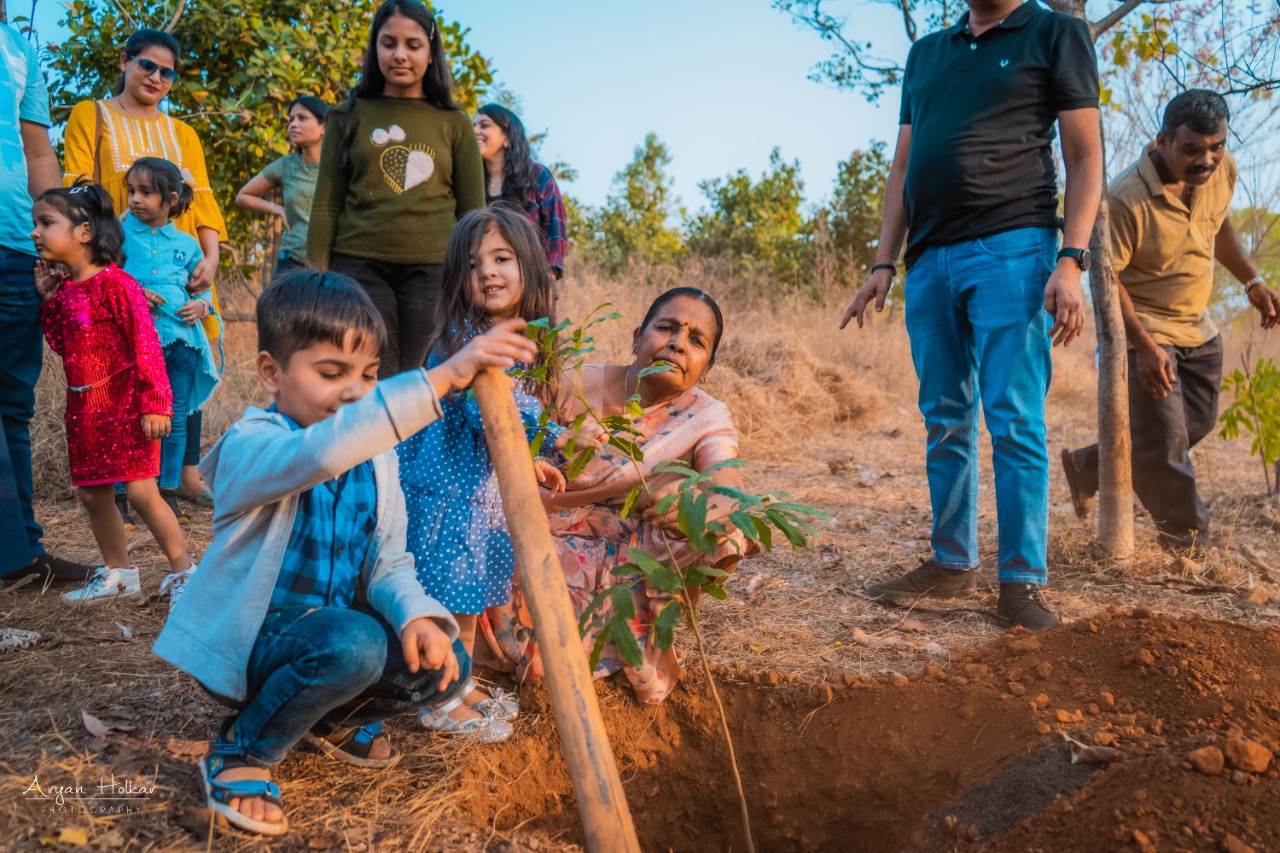 LTPL Team planting saplings