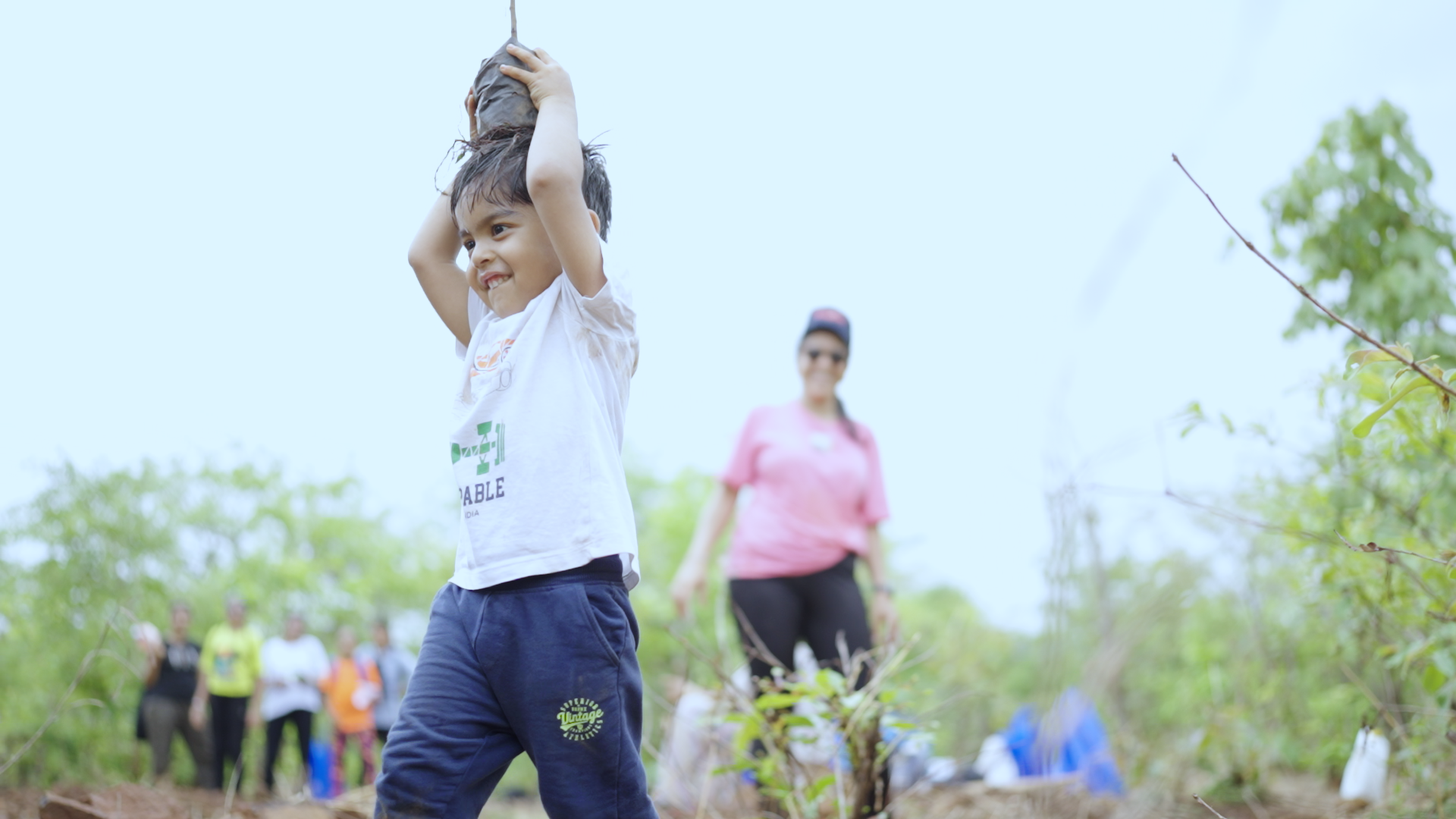 Tree Plantation Drive 1