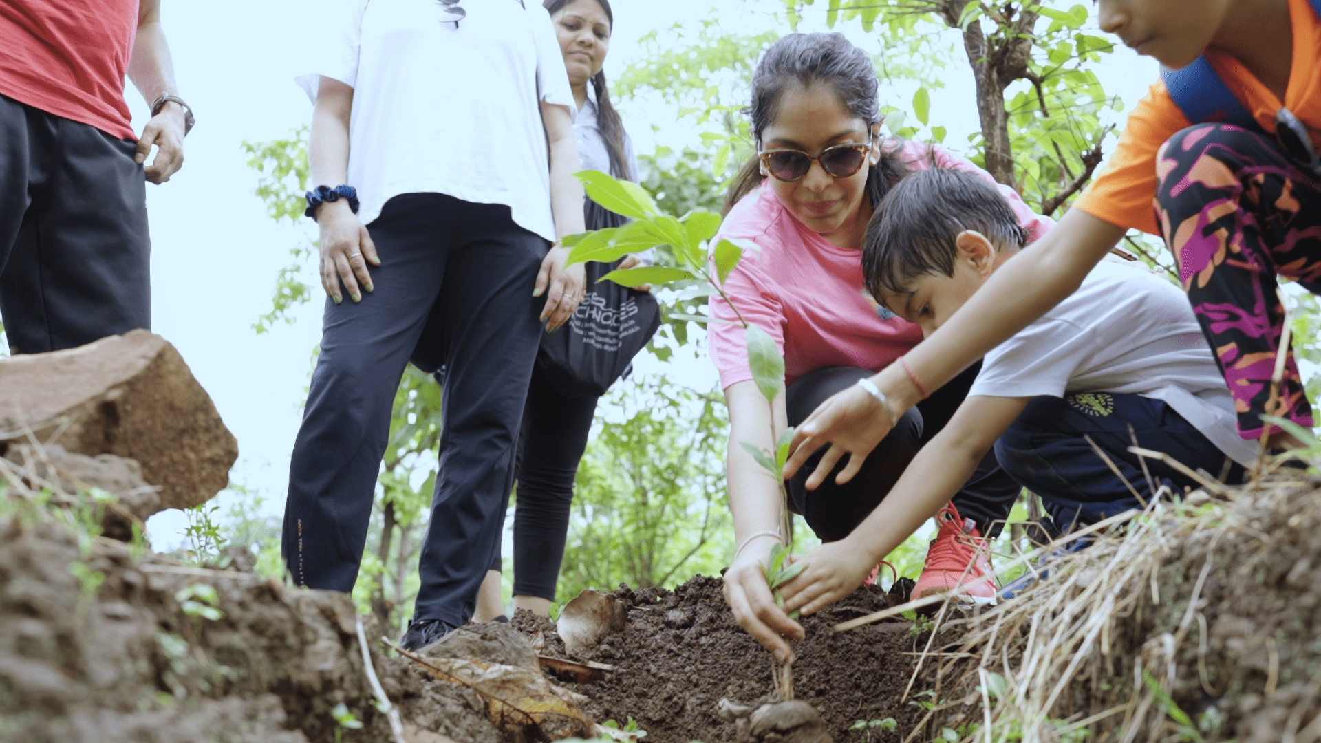 Tree Plantation Drive 2