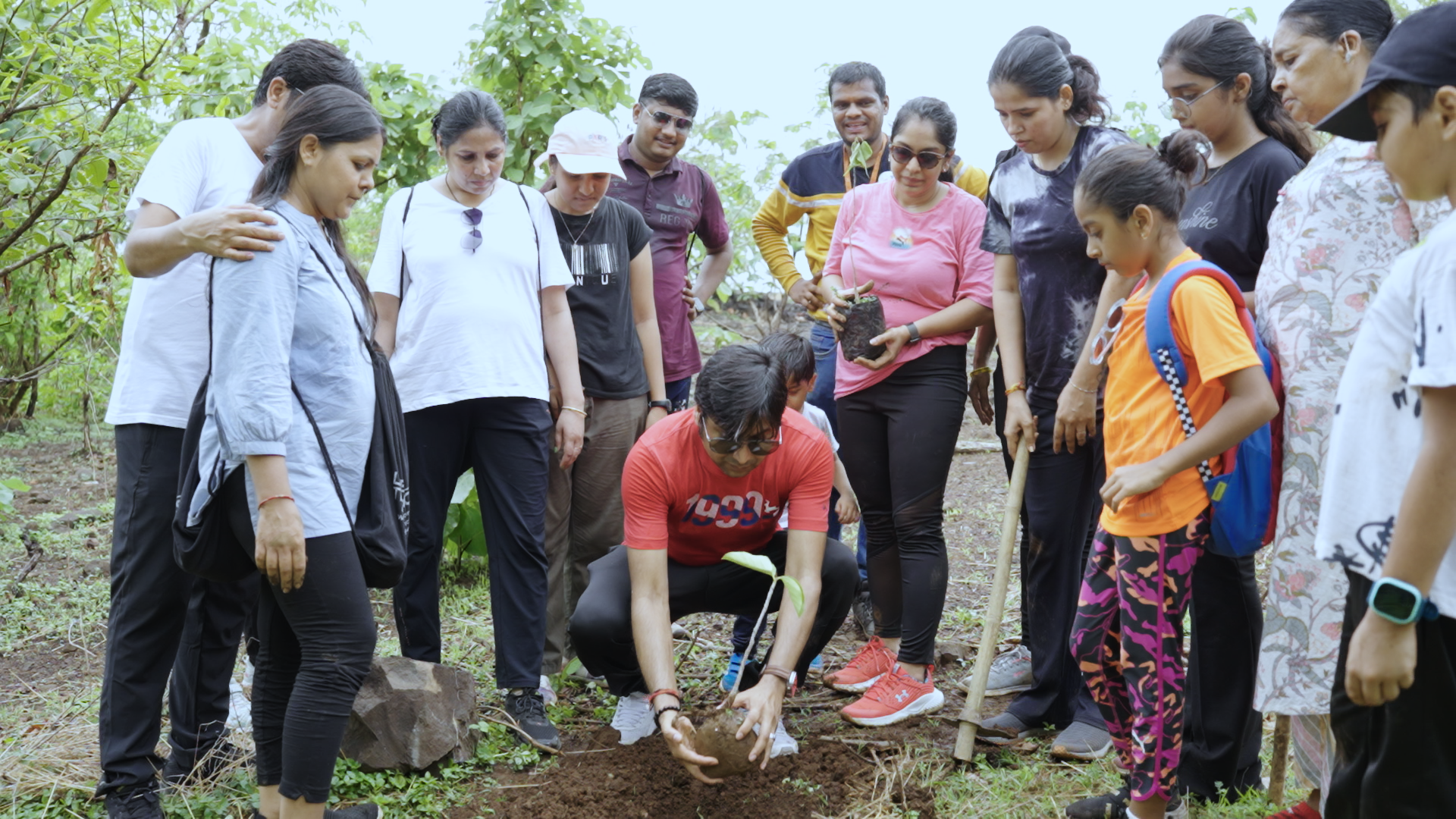 Planting saplings